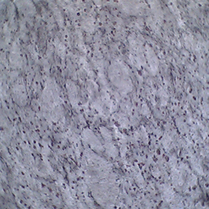 Muscat Stone